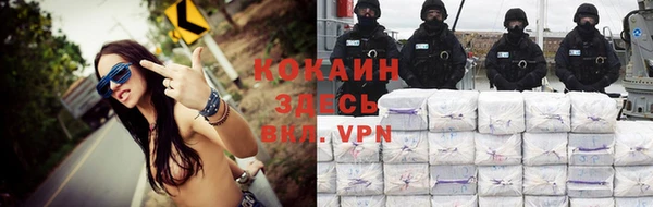 сатива Краснотурьинск