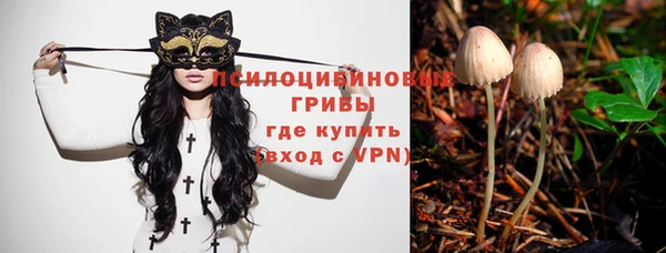 сатива Краснотурьинск