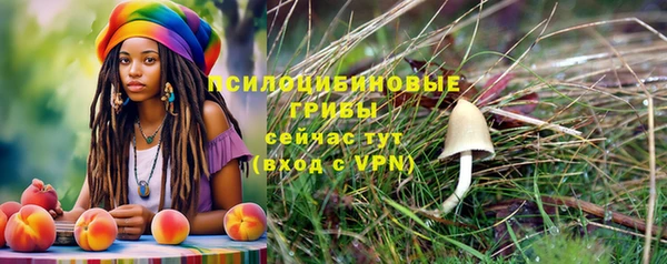 сатива Краснотурьинск