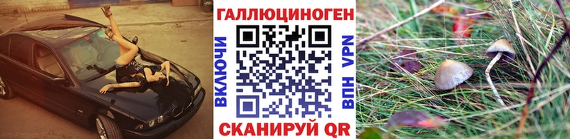 Купить где  Георгиевск  Псилоцибиновые грибы ЛСД 